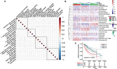 Comprehensive Study of Tumor Immune Microenvironment and Relevant Genes in Hepatocellular Carcinoma Identifies Potential Prognostic Significance